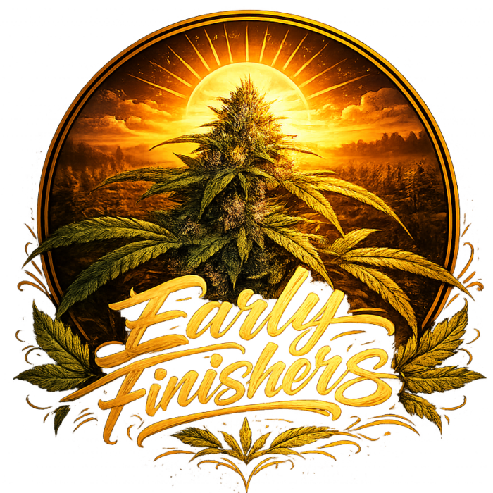 Early Finishers - Feminized
